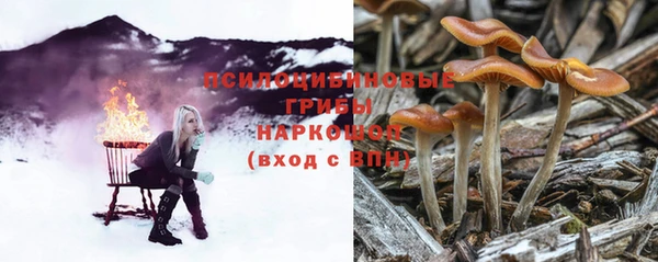амфетамин Арсеньев
